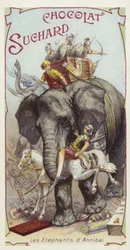 The Elephants of Hannibal